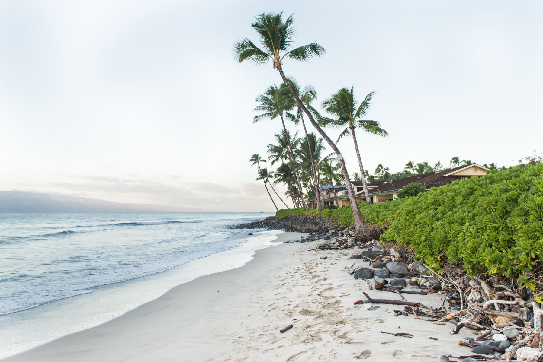 Lahaina Condo Vacation Rentals Kaanapali, Kahana, Napili, Honokowai